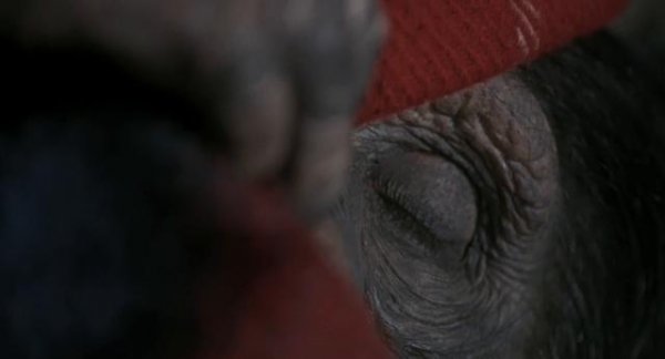 67425414364473952677_thumb.png
