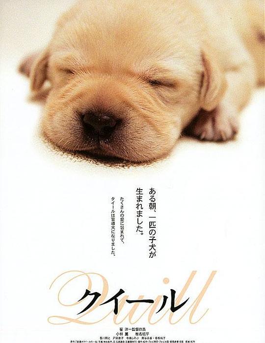 img_bdaad80c93477b9642f1a5db390b670a.png